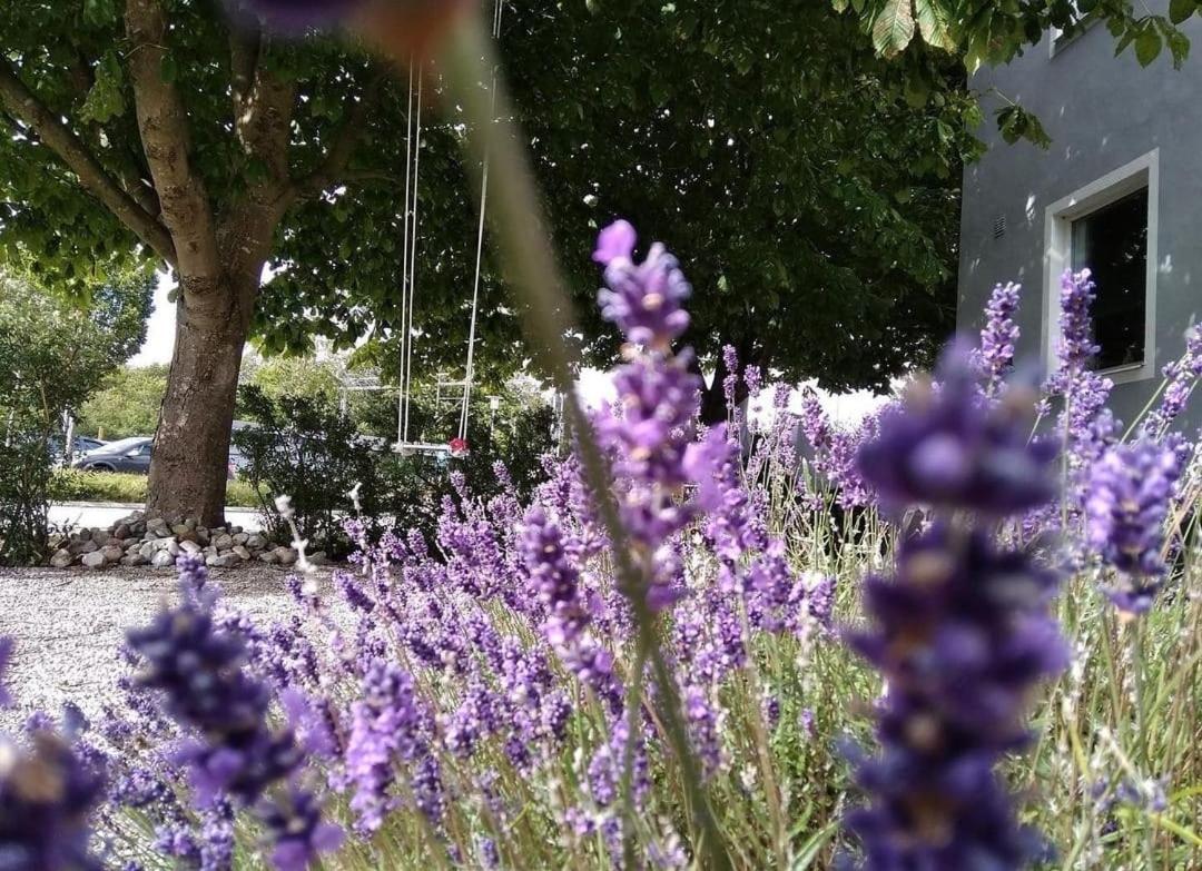 Cosyplace; Close To Beach, Nature, Train, Grocery Kopingebro 外观 照片